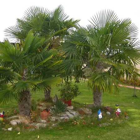 Casa Constanza
