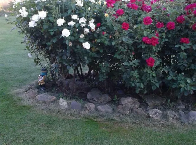 Casa Constanza * Vega de Infanzones